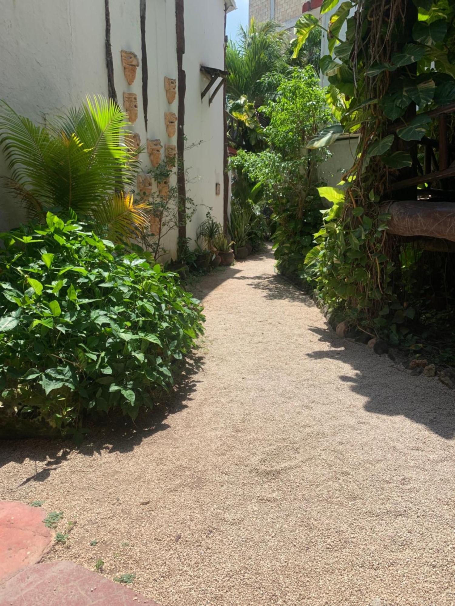 Casa Caribe Cancún Kültér fotó A typical alleyway in Tulum