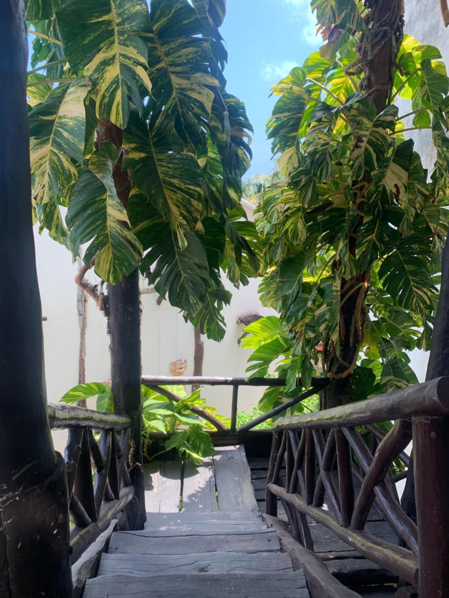 Casa Caribe Cancún Kültér fotó A view of the garden