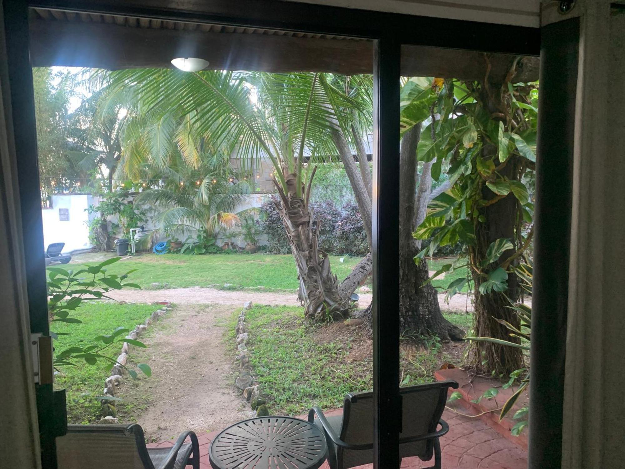 Casa Caribe Cancún Kültér fotó View of the garden from the living room